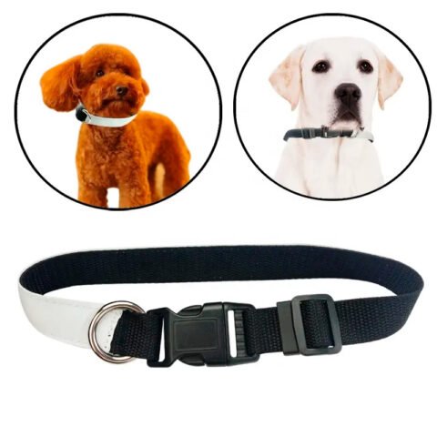 Collar para mascotas sublimable ideal para personalización en Costa Rica