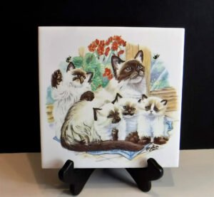 Azulejo Cerámicas Sublimable Premium | Costa Rica Azulejo Cerámicas Sublimable Premium | Costa Rica