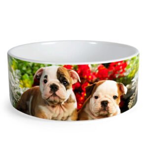 Tazón bowl de cerámica sublimable para mascota Costa Rica