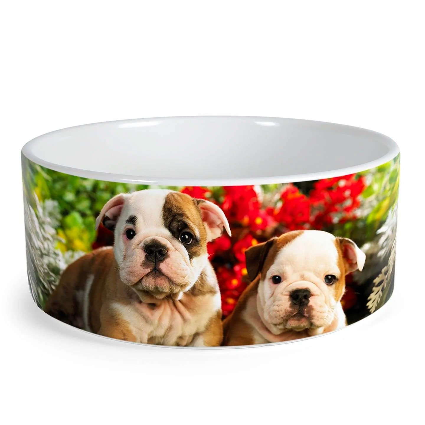 Tazón bowl de cerámica sublimable para mascota Costa Rica
